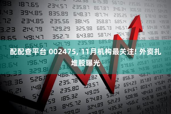 配配查平台 002475, 11月机构最关注! 外资扎堆股曝光